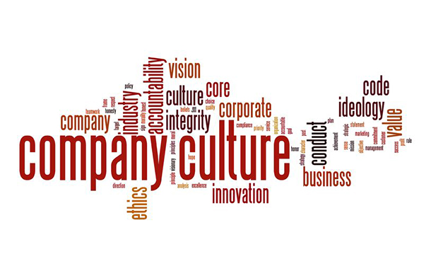 Image result for company culture